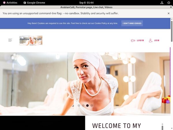 Arabiancalli.modelcentro.com With Directpay