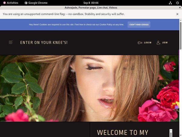 Ashea.modelcentro.com Tour