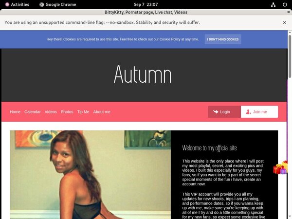 Bittykitty.modelcentro.com Rocket Pay