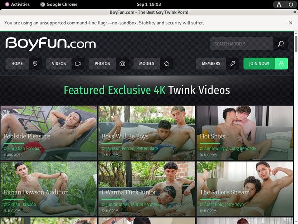Boyfun Pornstars
