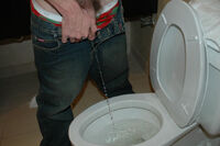 Boys Pissing Free Full Movies s2