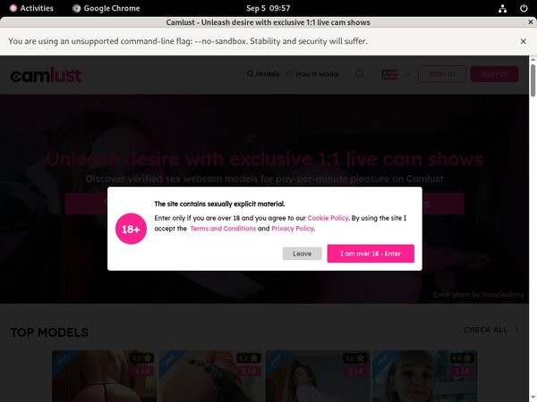 Camlust.com Login Details
