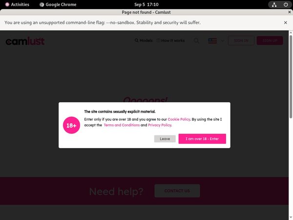 Camlust.com Porn Video