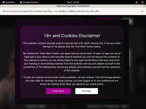 Com Feelxvideos Free Login