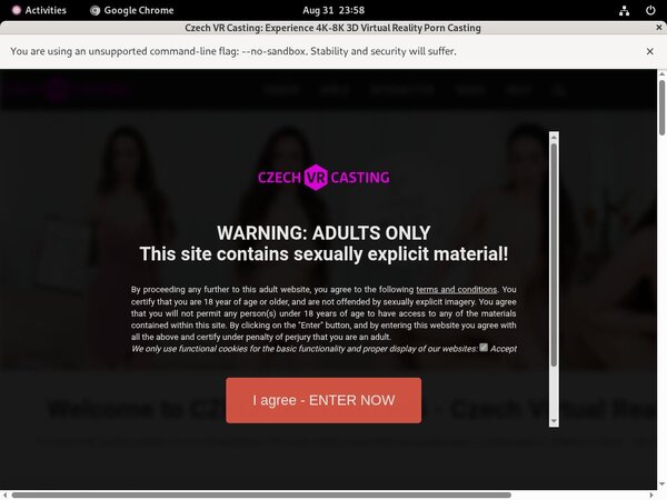 Czech VR Casting Discreet Billing
