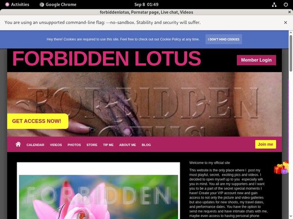 Forbiddenlotus With AOL Account