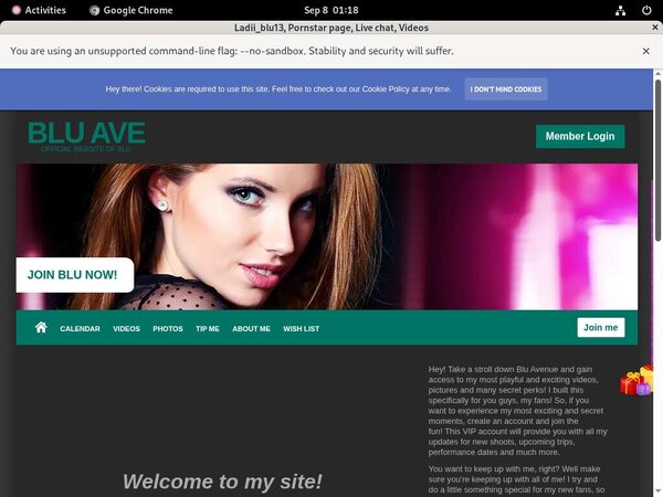 Free Accounts For Ladiiblu13.modelcentro.com