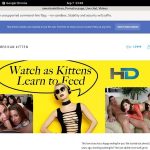 Free Americankittens Trial Membership