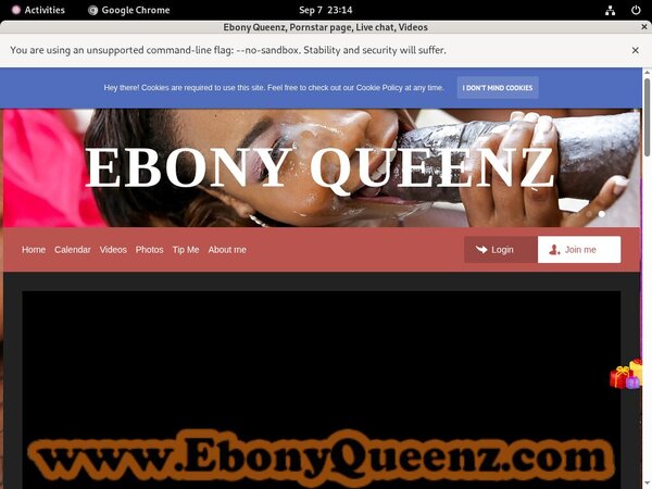 Free Full Ebonyqueenz.modelcentro.com Porn