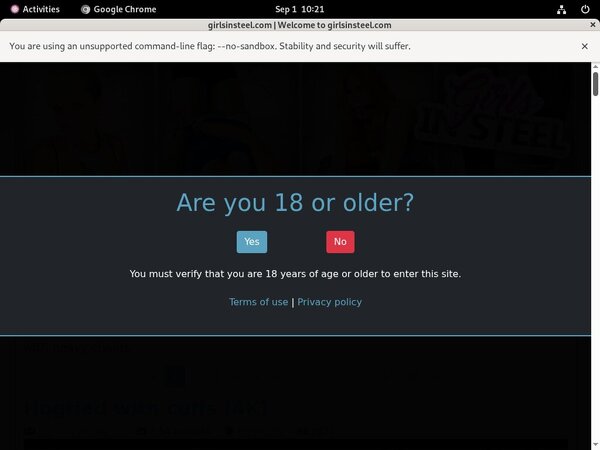 Free Girlsinsteel.com Premium Login