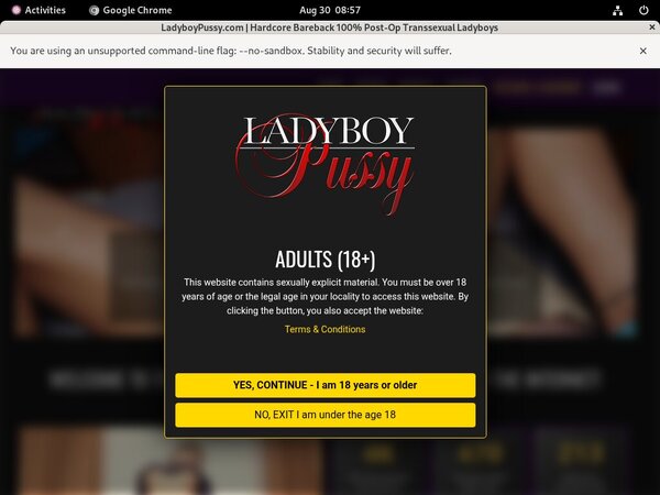 Free Ladyboy Pussy Username And Password