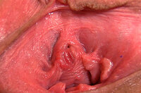 Gape My Pussy Siterip s1
