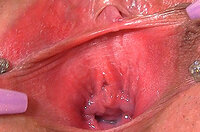 Gape My Pussy Siterip s3