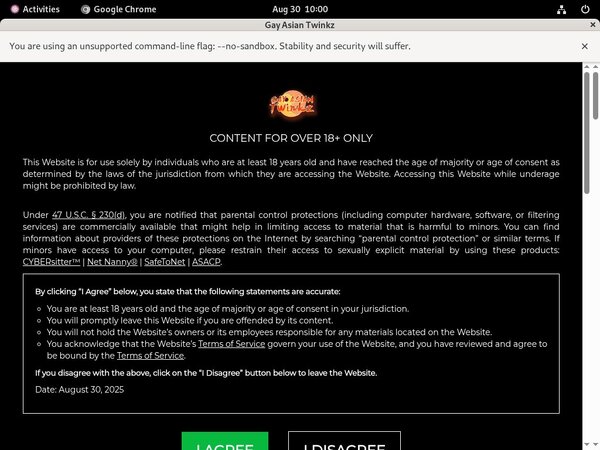 Gayasiantwinkz.com Hub