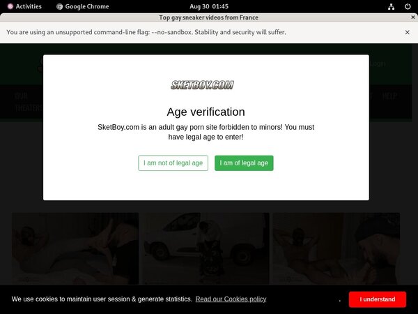Get Sket Boy Free Logins
