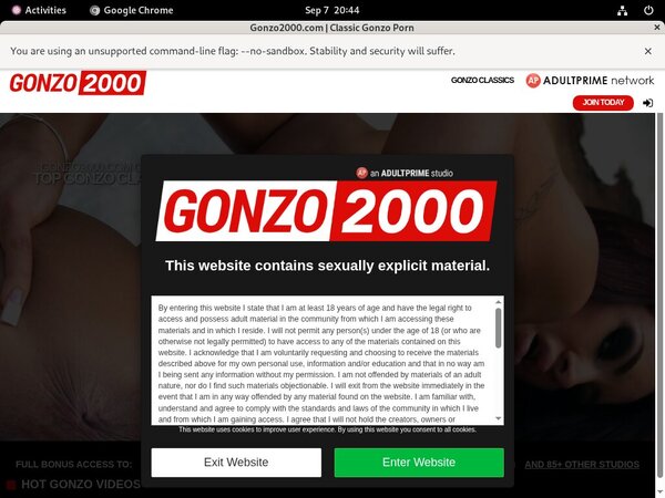 Gonzo 2000passwords