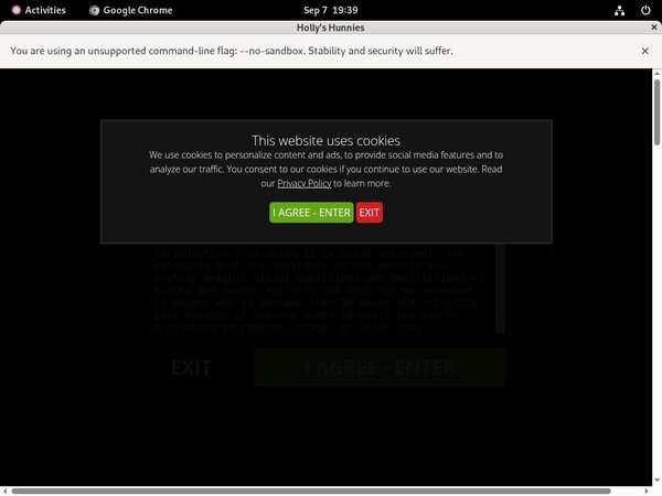 Hollys Hunnies Recent