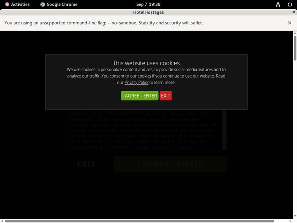 Hotel Hostages Discount Porno