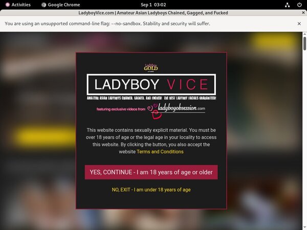 Ladyboyvice.com Active Accounts