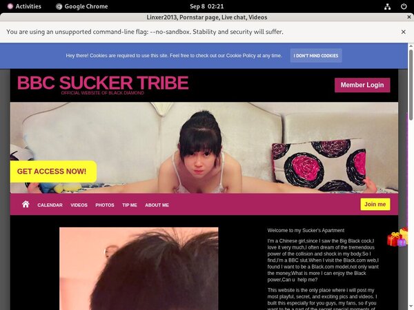Linxer2013.modelcentro.com (SAVE 50%) Discount