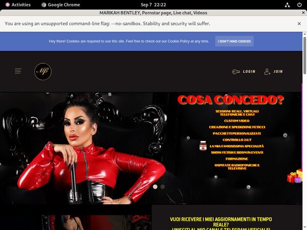 Marikahbentley.net Vxsbill Page