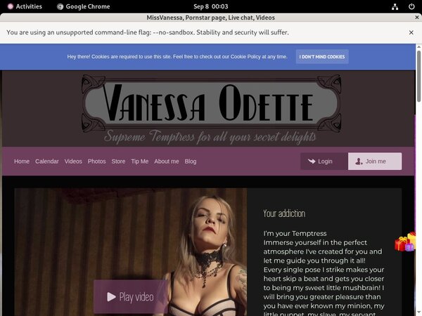 MissVanessa Passes