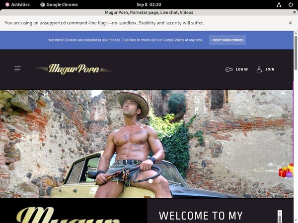 Mugur Porn Porn Review