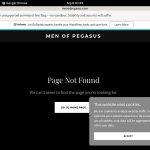 Pegasus_Studios Websites