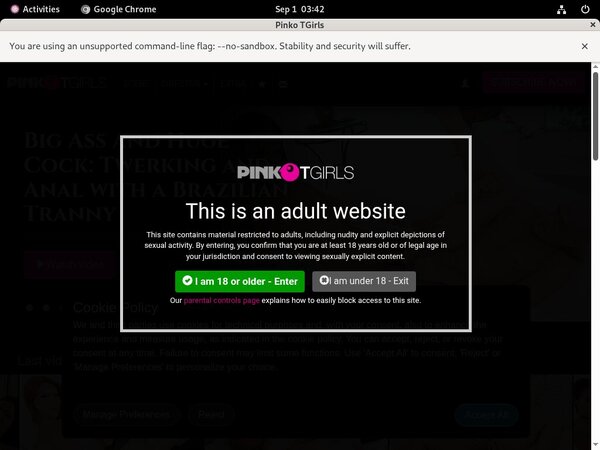 PinkO TGirls Free Premium Passwords