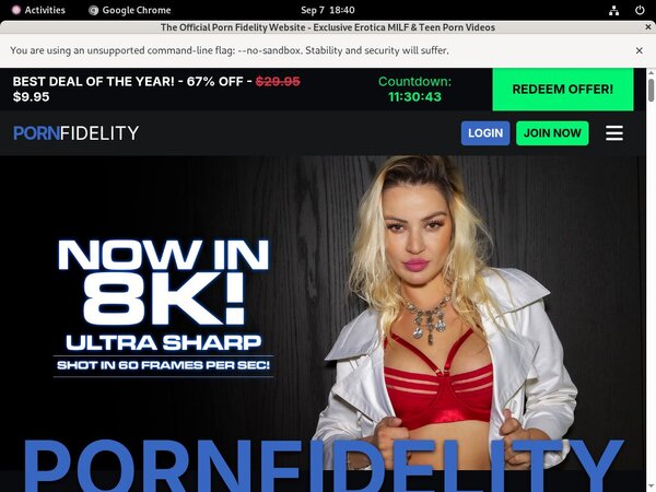 Porn Fidelity Preview