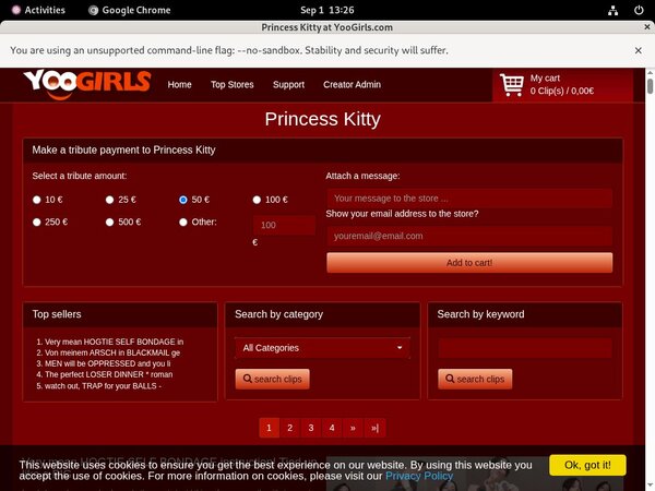 Princess Kitty Discreet