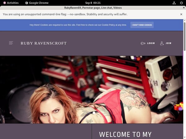 Rubyraven69.modelcentro.com Account Password