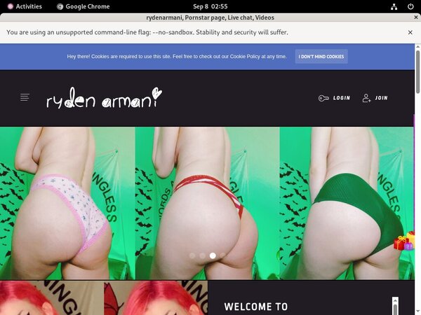 Rydenarmani Hack