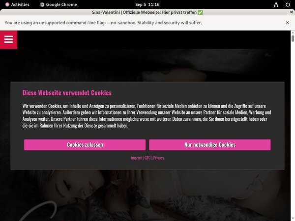 Sina Valentini Paysites Reviews