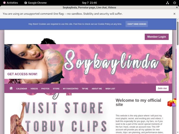 Soykaylinda With Discover Card