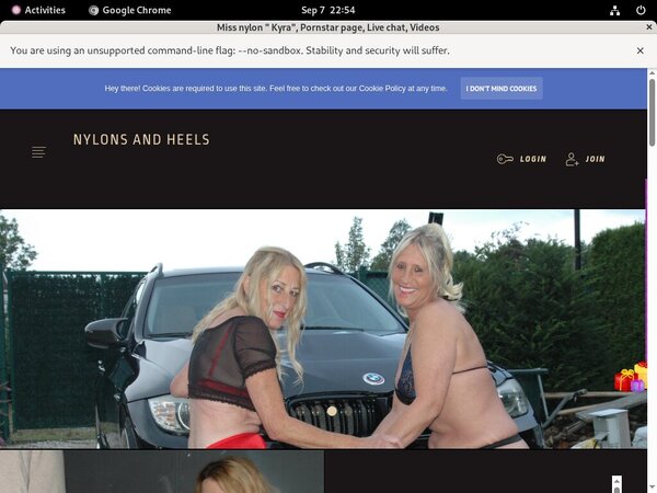 Stockingsandhighheels Net