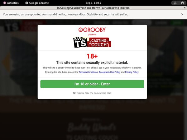 TS Casting Couch Subscriptions