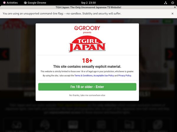 Tgirljapan Account And Passwords