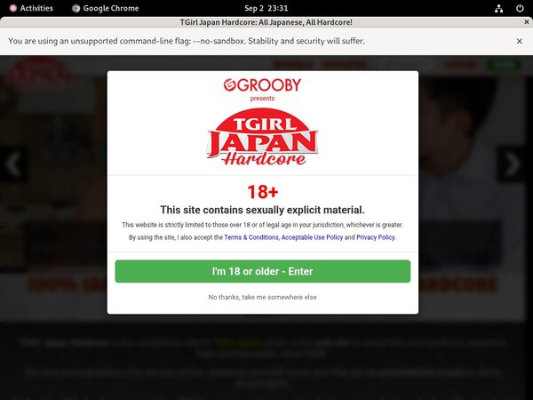 Tgirljapanhardcore Login Ids