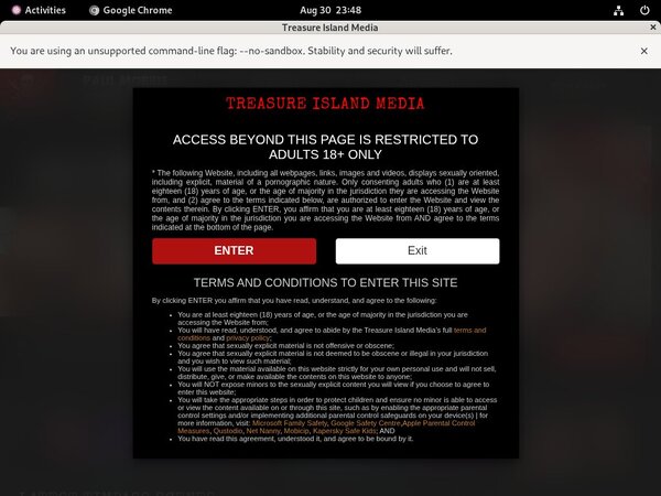 Treasureislandmedia Websites