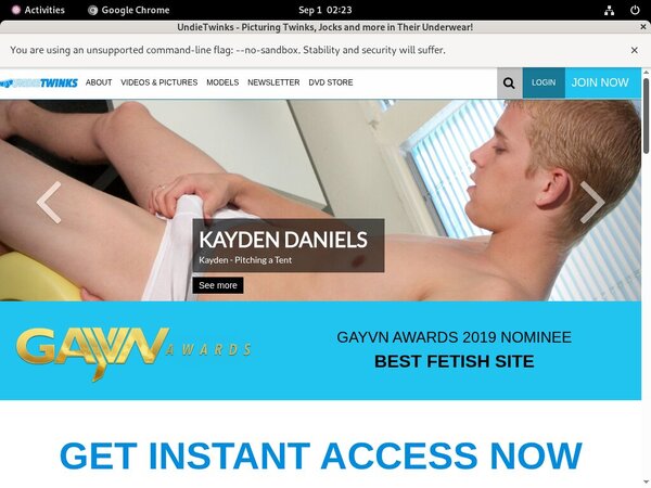 Undietwinks.com Free Logins