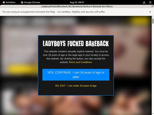 Watch Ladyboys Fucked Bareback