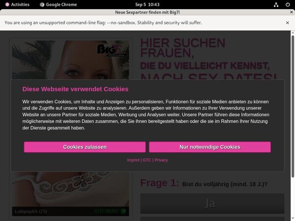 Your Secret Dream Pro Biller Page