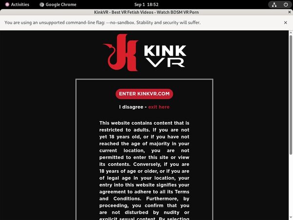 Kink VR Working Passwords