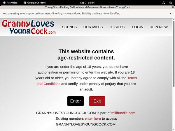 Grannylovesyoungcock.com Accounts Daily