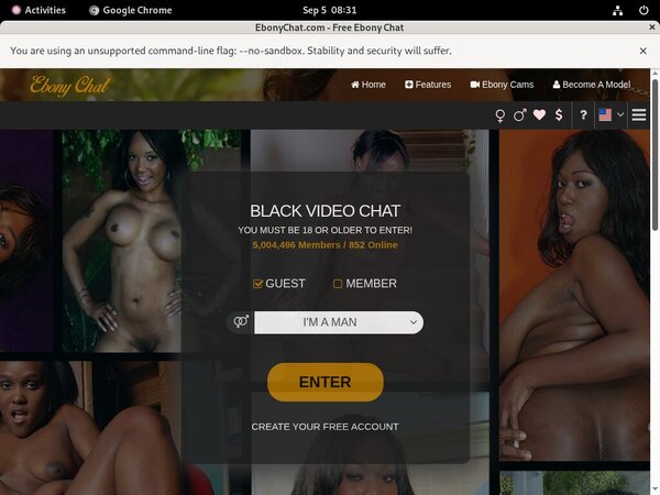 Ebony Chat Review