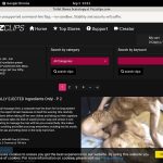 ToiletSlavesScatolo Accounts Passwords