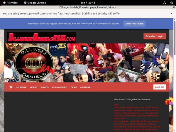 Dillingerdaniels Full Website