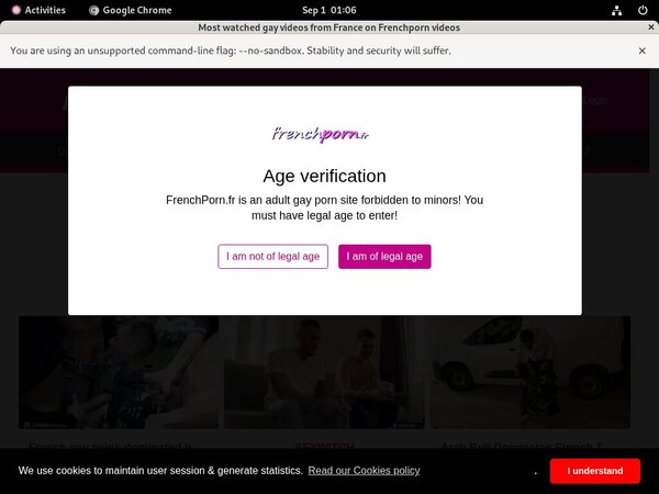 French Porn Gay Trial Discount Offer