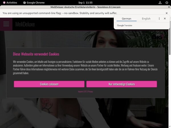 Meli Deluxe Billing Page